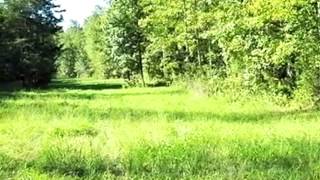 400 Boiling Springs Rd video tour
