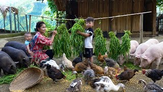Single Mother Lý Tử Ca | Gardening, Cooking for David and Eli, Caring for the Pets, Rural Life  screenshot 4