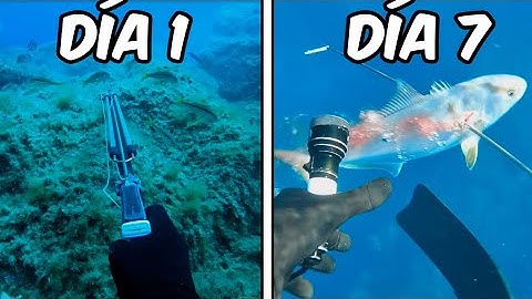 Solo puedo COMER lo que PESCO durante 7 DIAS