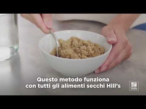 Video: Diamond Pet Foods, Produttore Di CANIDAE, Emette Il Richiamo Volontario Su Determinati Alimenti Secchi Per Cani