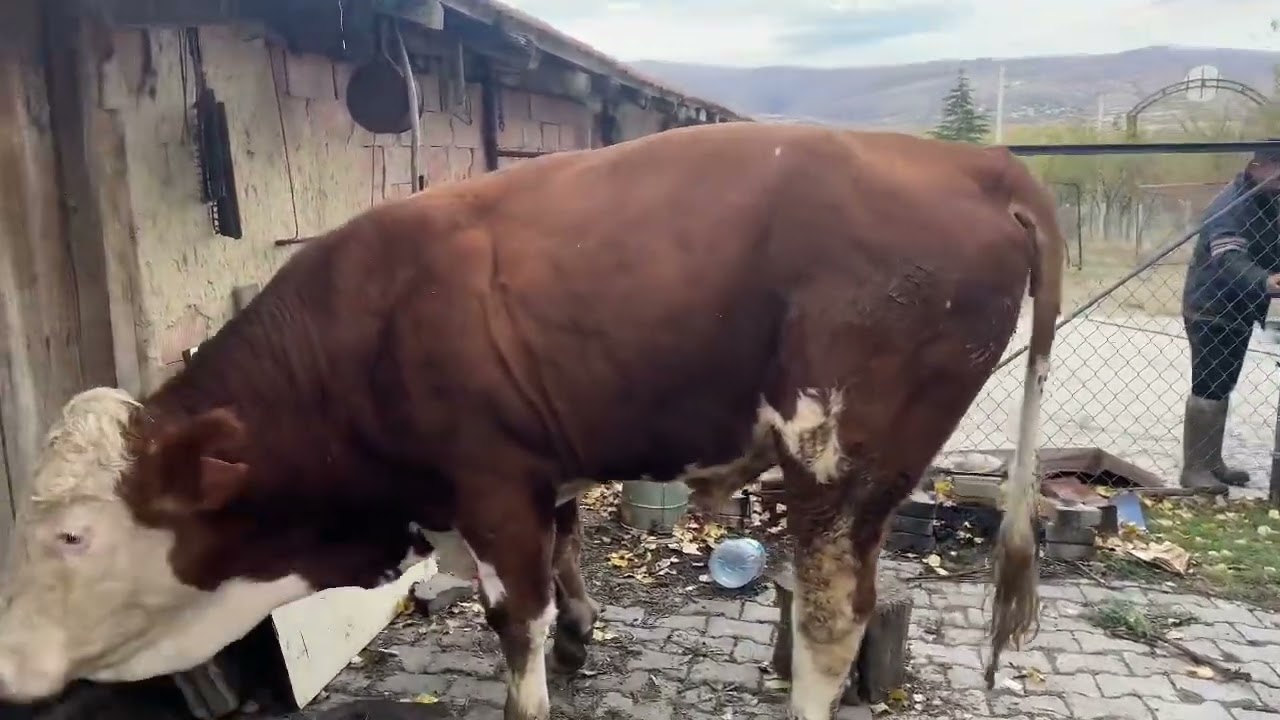 BAZEN HERSEY GÜZEL BİTMEZ 