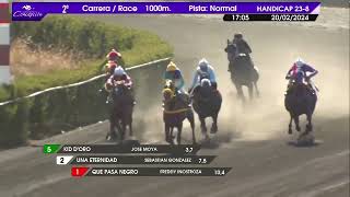 Vidéo de la course PMU PRIX JACKSON