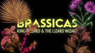 BRASSICAS – King Gizzard & The Lizard Wizard (Unofficial Visualizer)