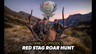 Thumping 14 Point Red Stag Hits The Deck!  Hunters Club S7 Ep 5