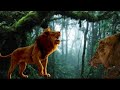 Simba Live Action Vs Murderous Lion 