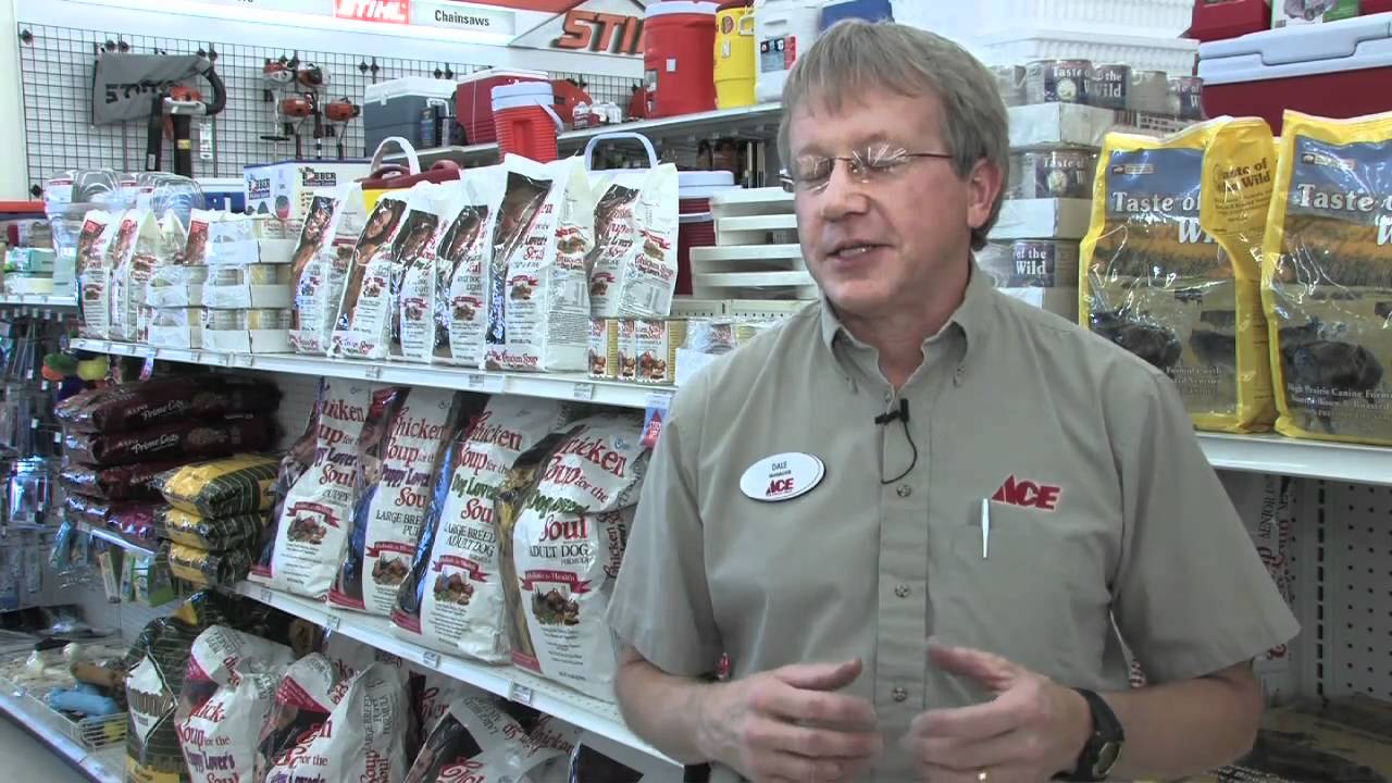 Creating Your Own Niche in the Market