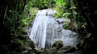 Zumba Fitness World Party Official Teaser Trailer