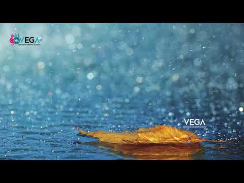 Darbhar Music | Stress Relief Music | Stress Relief & Meditation Music