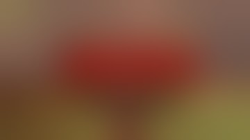 How to survive 2 - Episode 03 (Mystery Guest)