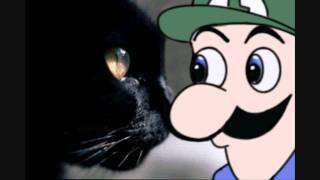 Weegee vs a Cat
