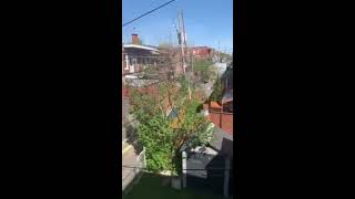 Appart rue St-Dominique