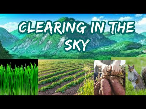 Clearing in the sky, complete translation. 2nd lesson. 1st year