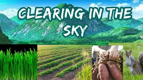 Clearing in the sky, complete translation. 2nd lesson. 1st year