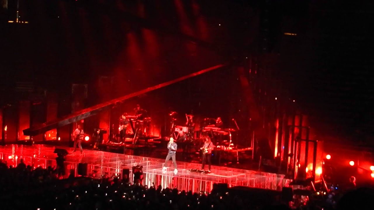 animal maroon 5 YouTube