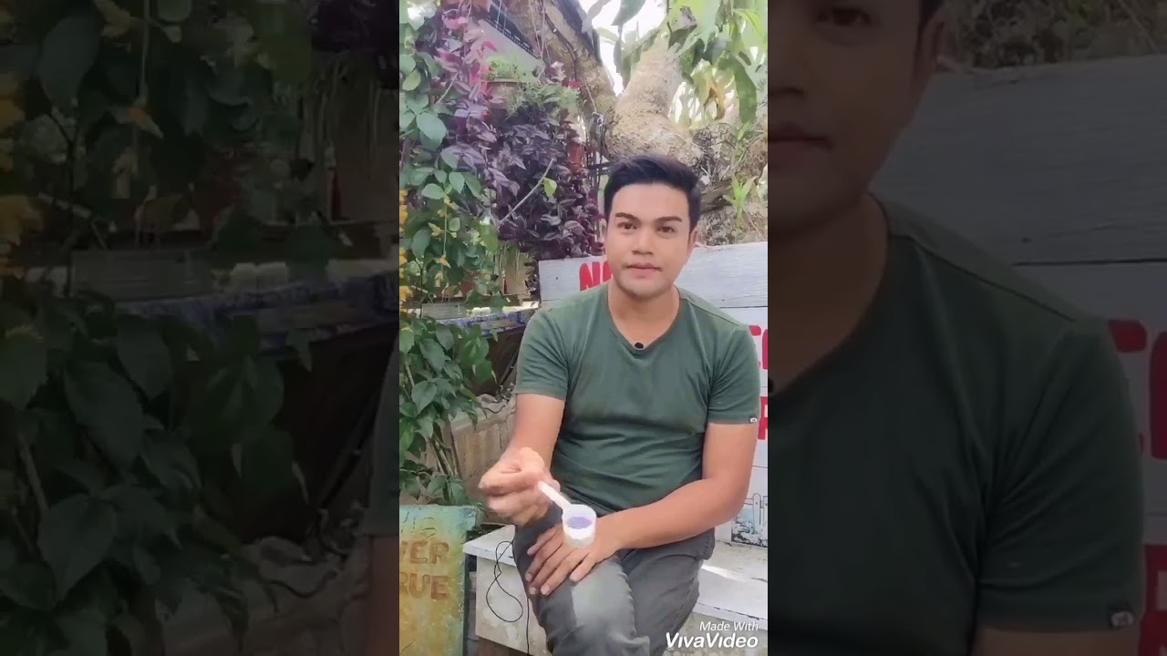 Racun Furadan Sedikit Info Dari Noy Green Youtube
