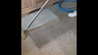 Glasgow flat Carpet Cleaning