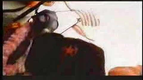 The Red Elvises - Love Pipe
