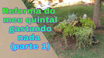 Como posso arrumar meu quintal?