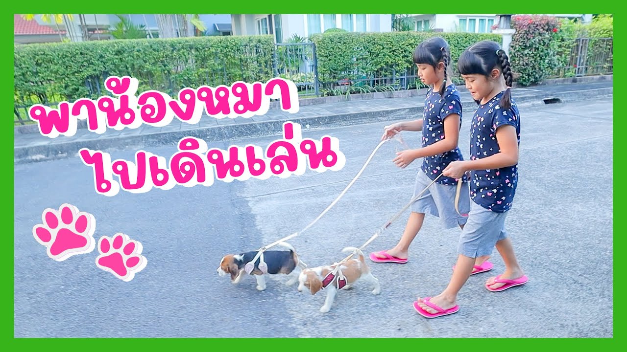 YimYamFamily | พาน้องหมาไปเดินเล่น