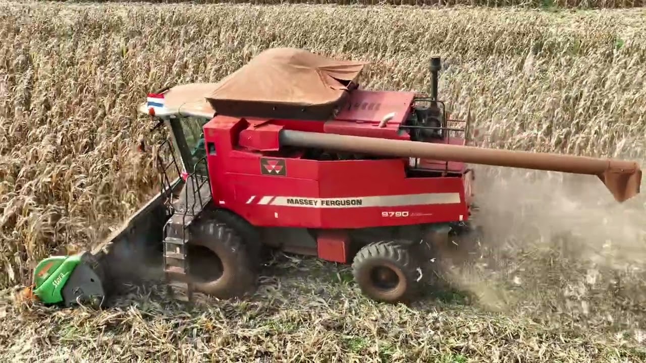 Massey ferguson 9790 colhendo milho safrinha