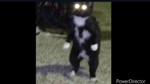 10 Minutes Of Cursed Images With Minecraft Cave Sounds