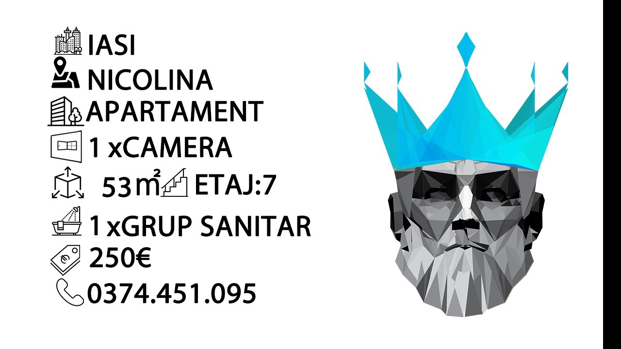 IASI | Nicolina | O camera | Centrala proprie | Mutare imediata | Pet Freindly