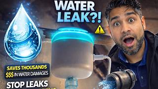 Celebrity Smart Water Leak Detector Review | Stop Leaks Before They Cost Thousands Net Worth