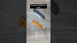 Kershaw Iridium Vs Leek