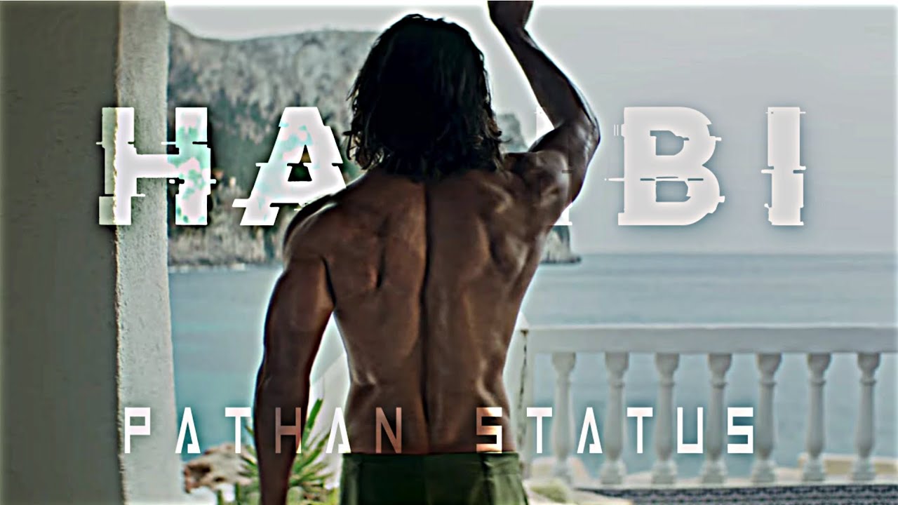 Pathan X Habibi Teaser Edit L Shah Rukh Khan Pathan Edit Status 