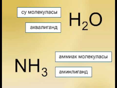 Бейне: Органикалық иондар дегеніміз не?