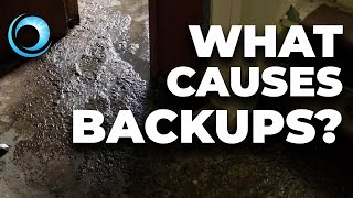 Signs to Look For/What Causes a Backup? (Episode 39)