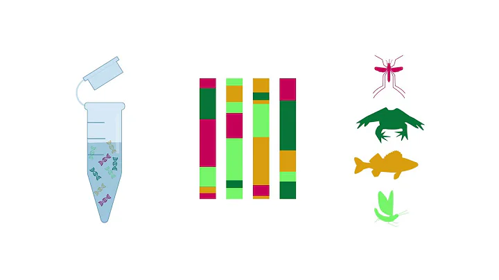 The Self-Preserving eDNA Filter: How It Works and ...