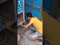 زهقت من الحمام دا Pigeon زهقت من الحمام دا Pigeon