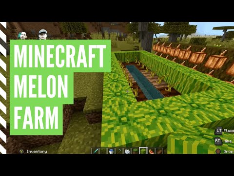 How To Grow MELONS In Minecraft [Minecraft Melon Farm]