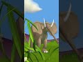 Jungle Animals In A Storm Gazoon Funnyanimals Shorts Shortsfeed Jungle Animals In A Storm Gazoon Funnyanimals Shorts Shortsfeed