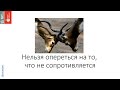 [AgileKitchen 2015.02] Дмитрий Безуглый: Как опереться на то, что не сопротивляется