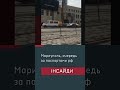 Мариуполь, очередь за паспортами рф