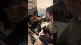 Guy Pets a Cat Too Close to a Computer Screen Causing It to Drop