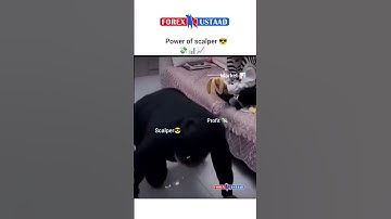 power of scalper! #shorts #tradingmemes