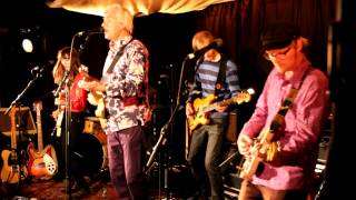 Robyn Hitchcock & I Was A King with friends: Queen Of Eyes screenshot 3