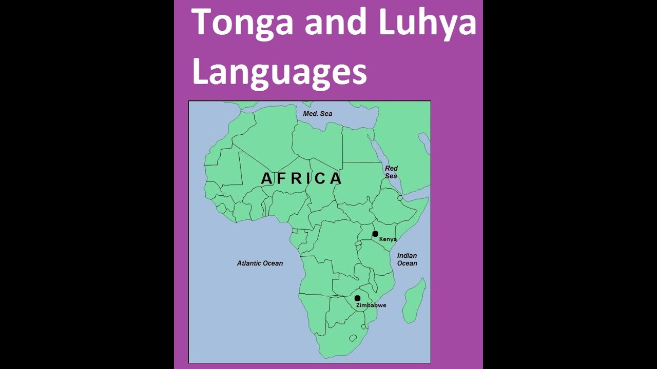 Comparison between Tonga and Luhya Words