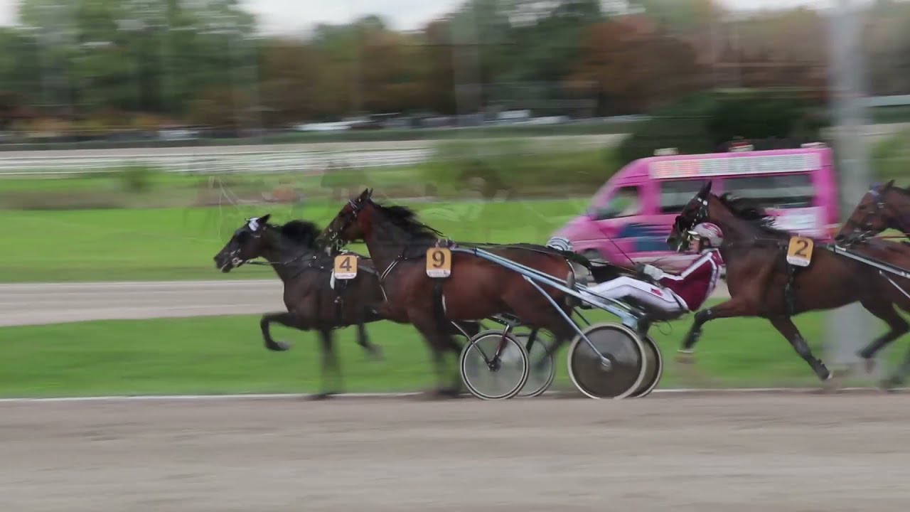 Impressionen Rennbahn Berlin - Trabrennsport in Mariendorf!