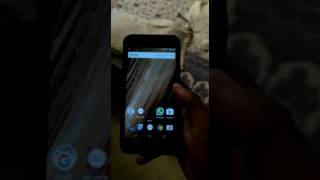 Nexus camera not working