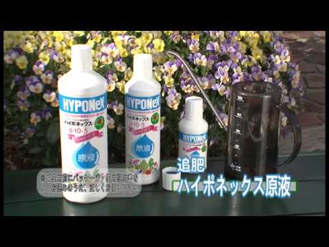 商品紹介 ハイポネックス原液の使い方 初心者 園芸のキホン ハイポネックスジャパン Youtube