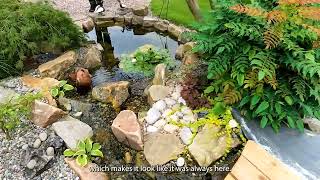 How This Ecosystem Pond Was Built | Deck Overlooking the Waterfall