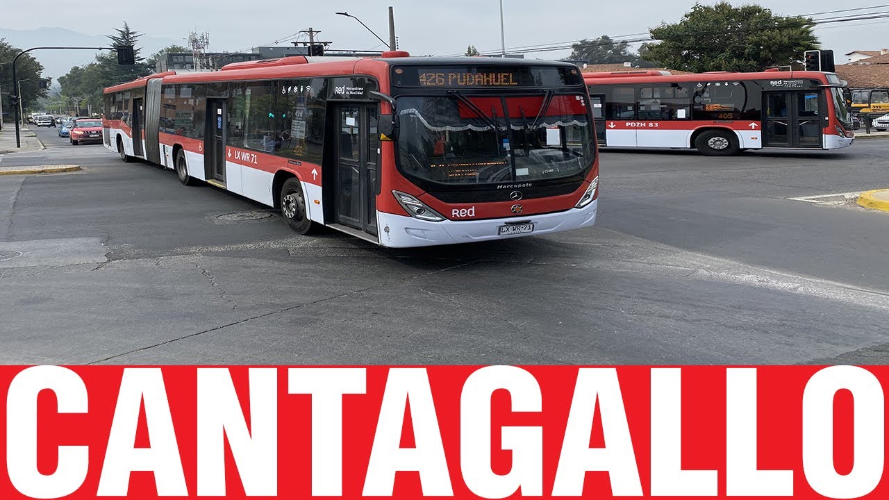 Movimiento de Buses en Cantagallo