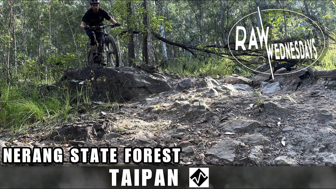 TAIPAN | Nerang MTB | RAW WEDNESDAYS