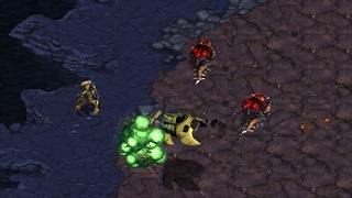 🔥2026.5 Bisu vs Jaedong PvZ Set 4 @ Jane Doe | Starcraft Commentary