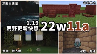 Minecraft 1 19 荒野更新 第一個正式快照 青蛙 紅樹林木 泥巴 新內容大量加入 Youtube