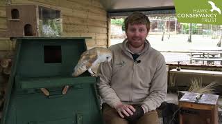 National Nest Box Week